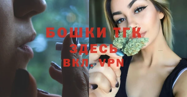 PSILOCYBIN Богданович