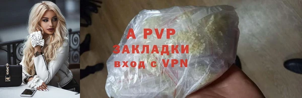 PSILOCYBIN Богданович