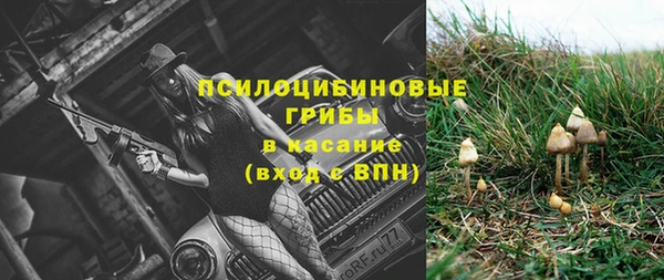 дурь Богородск