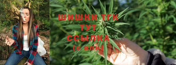 дурь Богородск