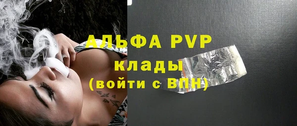 PSILOCYBIN Богданович
