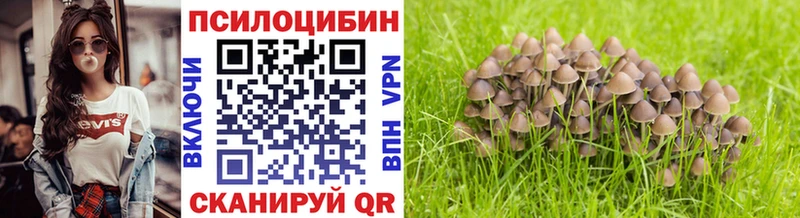 Галлюциногенные грибы Cubensis  mega онион  Острогожск 
