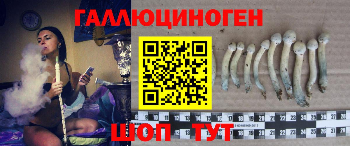 Галлюциногенные грибы Magic Shrooms  Вход с VPN  Острогожск 